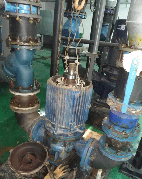 電機如何適應變頻起動新技術(shù)——西安泰富西瑪電機（西安西瑪電機集團股份有限公司）官方網(wǎng)站